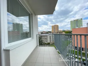 Pronájem bytu 1+kk, Brno - Královo Pole, Božetěchova, 61 m2