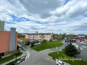 Pronájem bytu 1+kk, Brno - Královo Pole, Božetěchova, 61 m2