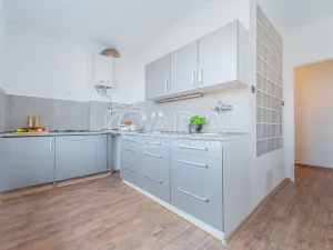 Prodej bytu 2+1, Kladno, Čechova, 60 m2