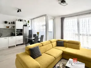 Prodej bytu 2+kk, Plzeň - Severní Předměstí, Na Chmelnicích, 50 m2