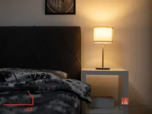 Prodej bytu 3+1, Opava - Předměstí, Těšínská, 59 m2