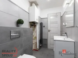 Prodej bytu 3+1, Opava - Předměstí, Těšínská, 59 m2