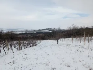 Prodej zahrady, Mikulov, Nová, 467 m2