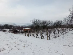 Prodej zahrady, Mikulov, Nová, 467 m2