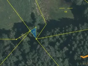 Prodej rybníku, Horní Radouň - Starý Bozděchov, 12120 m2