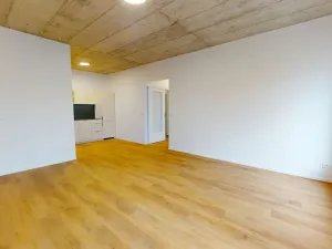 Pronájem bytu 3+kk, Ostrava - Moravská Ostrava, Sadová, 70 m2