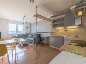 Pronájem bytu 2+kk, Praha, Štúrova, 40 m2