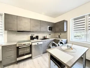 Pronájem bytu 3+kk, Liberec - Liberec XXV-Vesec, U Statku, 59 m2