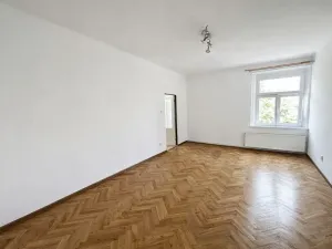 Pronájem bytu 1+1, Praha - Žižkov, U kněžské louky, 70 m2