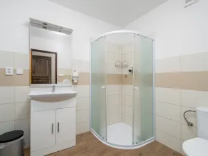 Prodej ubytování, Nový Bor - Janov, 200 m2