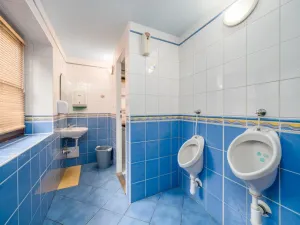 Prodej ubytování, Nový Bor - Janov, 280 m2
