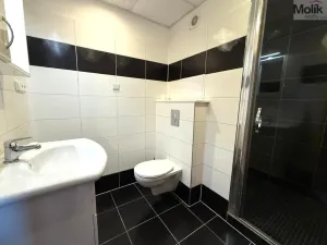 Pronájem bytu 2+kk, Most, Karla Marxe, 40 m2