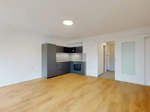 Pronájem bytu 1+kk, Ostrava - Moravská Ostrava, Sadová, 35 m2