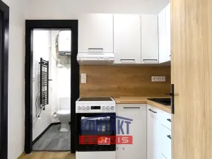 Prodej bytu 1+1, Písek - Budějovické Předměstí, Táborská, 24 m2