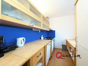 Prodej bytu 2+kk, Praha - Žižkov, Pod lipami, 61 m2
