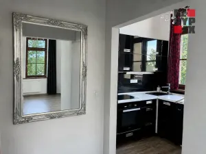 Pronájem bytu 1+1, Opatovice nad Labem, Neplachova, 40 m2