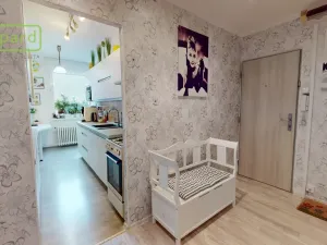 Prodej bytu 2+1, Ústí nad Labem - Neštěmice, Železná, 62 m2