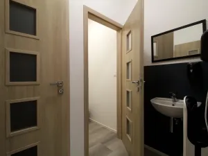 Pronájem skladu, Plzeň - Litice, Klatovská, 155 m2