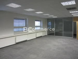 Pronájem skladu, Brno, Vídeňská, 1400 m2