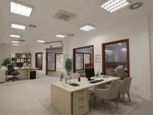 Pronájem kanceláře, Brno, Starobrněnská, 30 m2