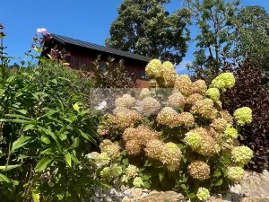 Prodej ubytování, Paseky nad Jizerou, 345 m2