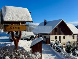 Prodej ubytování, Paseky nad Jizerou, 345 m2