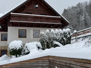 Prodej ubytování, Paseky nad Jizerou, 345 m2