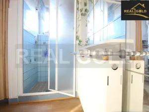 Prodej bytu 1+kk, Myslibořice, 24 m2