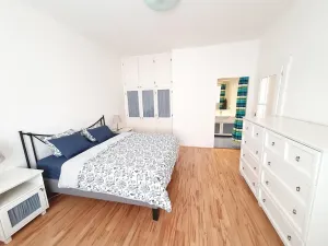 Pronájem bytu 2+kk, Praha - Vinohrady, Písecká, 60 m2