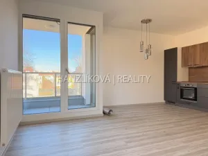 Pronájem bytu 2+kk, České Budějovice - České Budějovice 3, Hálkova, 49 m2