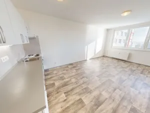 Pronájem bytu 1+kk, Ostrava - Dubina, Jana Maluchy, 32 m2