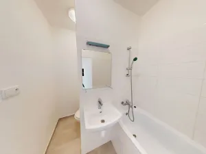 Pronájem bytu 1+kk, Ostrava - Dubina, Jana Maluchy, 32 m2