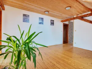 Prodej rodinného domu, Velemín - Dobkovičky, 240 m2