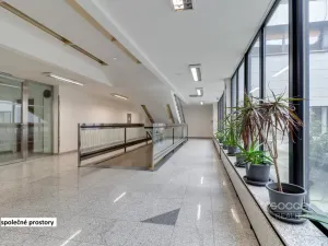 Pronájem kanceláře, Praha - Libeň, Sokolovská, 21 m2