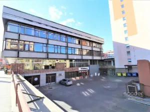 Pronájem skladu, Praha - Libeň, Sokolovská, 68 m2