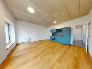 Pronájem bytu 2+kk, Ostrava - Moravská Ostrava, Sadová, 51 m2