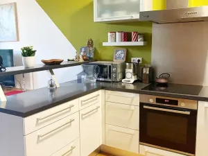 Pronájem bytu 1+kk, Praha, Litoměřická, 47 m2