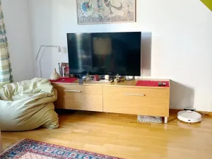 Pronájem bytu 1+kk, Praha, Litoměřická, 47 m2