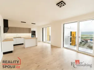 Pronájem bytu 4+kk, Plzeň - Litice, 88 m2