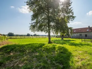 Prodej pozemku pro bydlení, Kladruby nad Labem, 650 m2