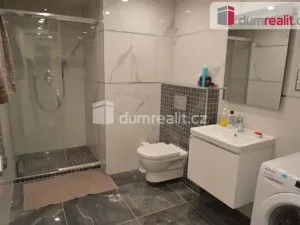 Pronájem bytu 1+kk, Praha - Žižkov, Olšanská, 37 m2