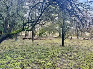 Prodej pozemku pro bydlení, Golčův Jeníkov - Kobylí Hlava, 1733 m2