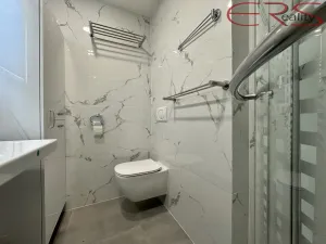 Pronájem bytu 1+kk, Jablonec nad Nisou, U Jeslí, 28 m2