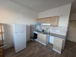 Pronájem bytu 1+1, Plzeň, Šimerova, 43 m2