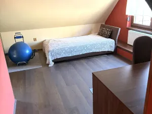 Prodej rodinného domu, Budišov - Mihoukovice, 200 m2