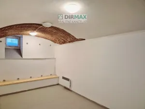 Pronájem skladu, Plzeň, Havlíčkova, 54 m2