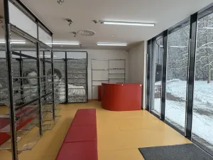 Prodej obchodního prostoru, Ostrava - Moravská Ostrava, Biskupská, 89 m2