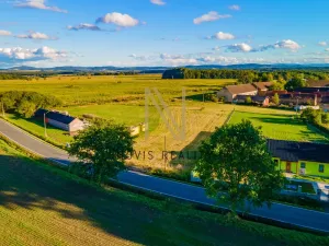 Prodej pozemku pro bydlení, Puclice, 3058 m2