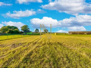 Prodej pozemku pro bydlení, Puclice, 3058 m2