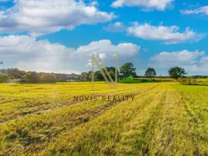 Prodej pozemku pro bydlení, Puclice, 3058 m2